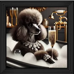 Glamorous Poodle bathing Picture