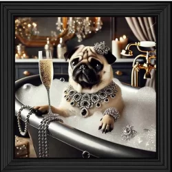 Glamorous Pug Bathing Picture