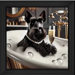 Glamorous Scottish Terrier Bathing Picture