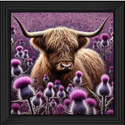 Highland Bull in Pink Thistle Field Picture