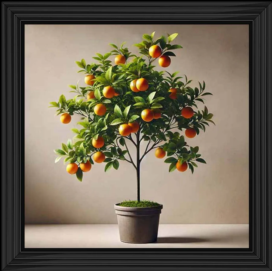 Mini Orange Tree Picture