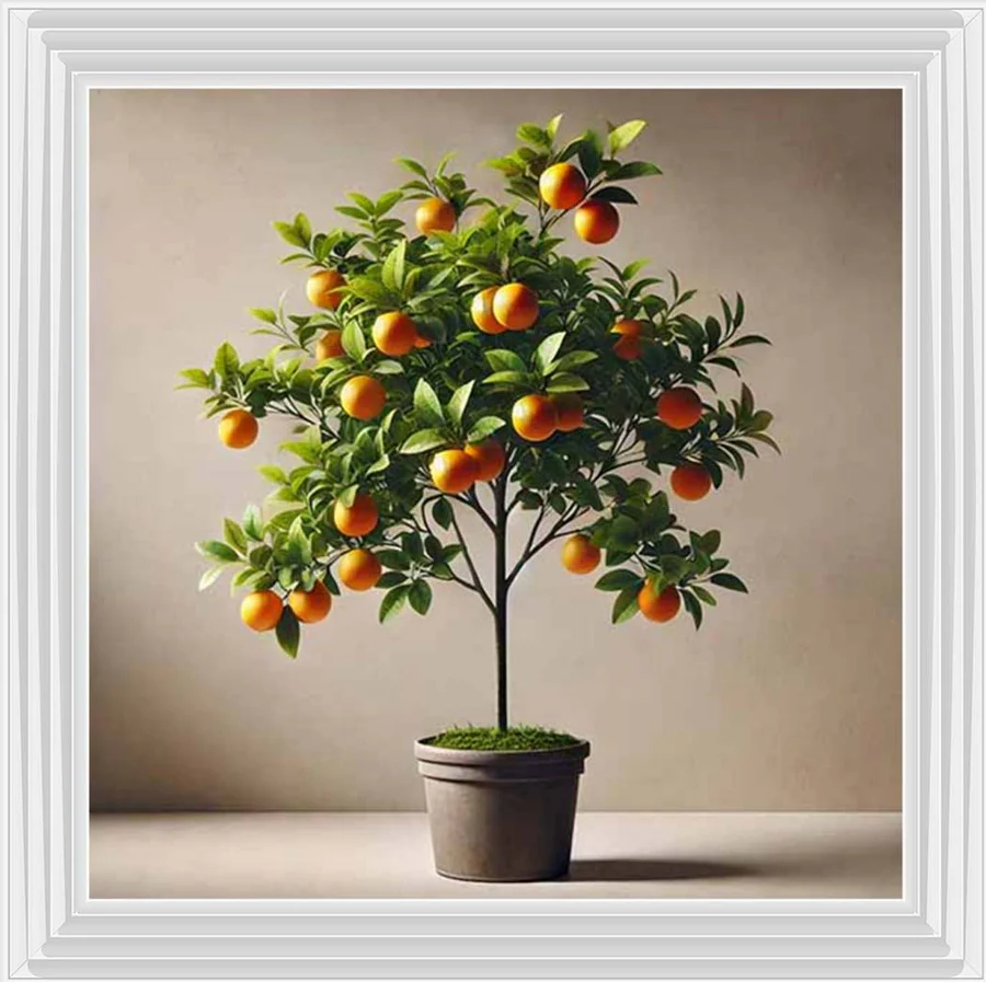 Mini Orange Tree Picture - Image 3
