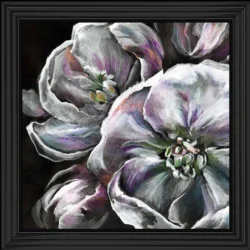 Nightshade Picture
