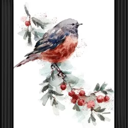 Perching Robin Picture