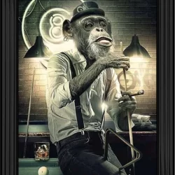 Pool Playing Monkey Picture