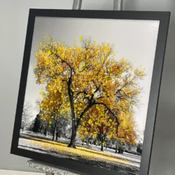 Yellow Leaved Tree Picture