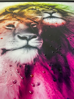Colourful Tiger & Lion Couple Picture - Image 2