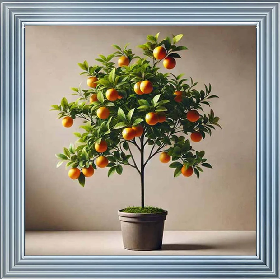 Mini Orange Tree Picture - Image 2