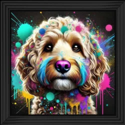 Rainbow Cockapoo Picture